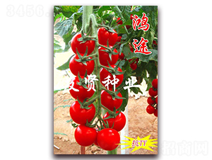 ��;-��TY��������С���ѷN��-���t�N�I(y��)