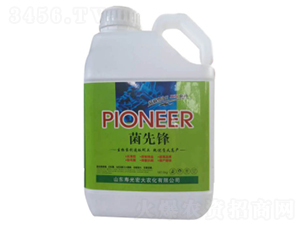 �����h-�ն���