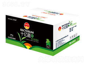 ���bʮ�|���꣨10�|����-�f(w��n)��