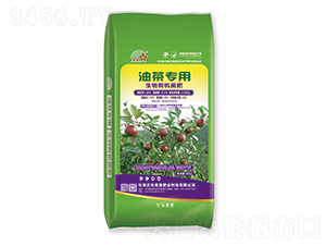 �Ͳ茣�������ЙC����-ϣ�ǷʘI(y��)