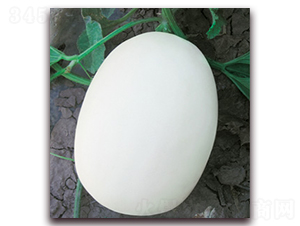 �߿�����-��ϷN��-�Ƶ���