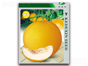 �Ƶ��S��һ̖(h��o)-��ϷN��-�Ƶ���