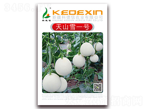 ��ɽѩһ̖(h��o)-��ϷN��-�Ƶ���