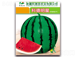 �Ƶ�����-���ϷN��-�Ƶ���