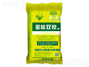 �����p�@-���Դ�ʘI(y��)