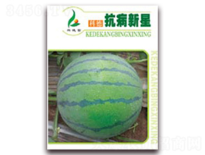 ��������-���ϷN��-�Ƶ���