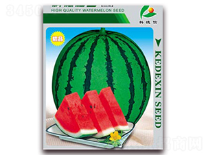 �Ƶ¸���-���ϷN��-�Ƶ���