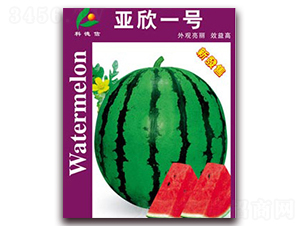 ����һ̖(h��o)-���ϷN��-�Ƶ���