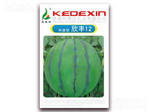 ���S12̖(h��o)-���ϷN��-�Ƶ���