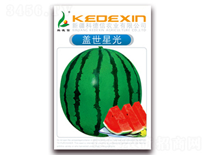 �w���ǹ�-���ϷN��-�Ƶ���