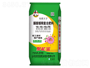 ������ȩ��ጏͺϷ���18-18-18-���F��