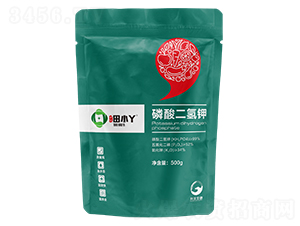 ��������-��СѾ-�_������