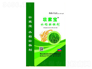 水稻壯秧劑-壯家寶-晟焜肥業(yè)