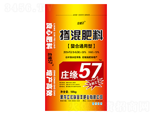 ����ͨ���͓������-������S