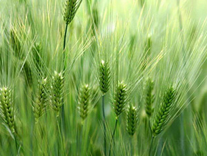 ����7̖(h��o)-ƽ���N�I(y��)