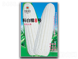 �ư�Ŵ8̖-���׷N��-�߿ƷN�I(y��)