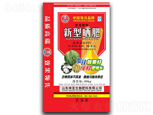 ���͕��-��ʥ����