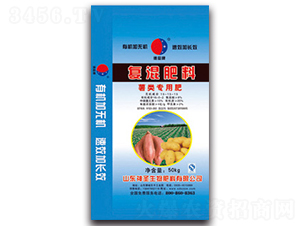 ����Ï�(f��)�����-��ʥ����