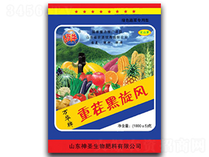 �ز�����L(f��ng)-��ʥ����