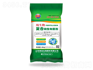 �������(f��)��΢�������-��ʥ����