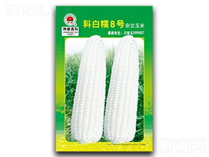 �ư�Ŵ8̖��2��-���׷N��-�߿ƷN�I(y��)