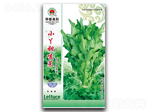 СѾ������-�����˷N��-�߿ƷN�I(y��)