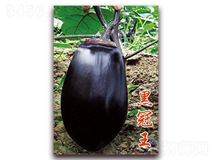 �ڹ���-���ӷN��-�ѹ��N�I(y��)