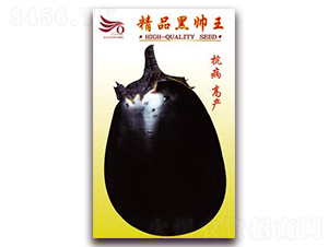 ��Ʒ�ڎ���-���ӷN��-�ѹ��N�I(y��)