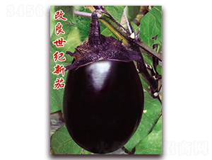 �������o(j��)����-���ӷN��-�ѹ��N�I(y��)