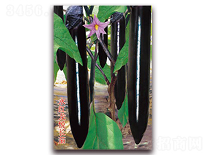 ���t�����L��-���ӷN��-�ѹ��N�I(y��)