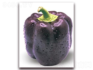 ����-�ʽ��N��-ɣ�r�N�I(y��)