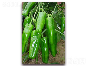 ����-�⽷�N��-ɣ�r�N�I(y��)