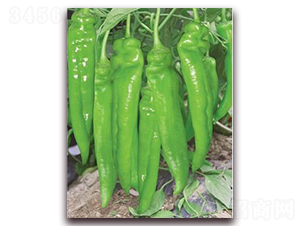 ����-�⽷�N��-ɣ�r�N�I(y��)