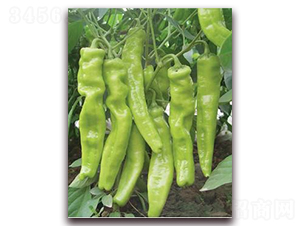 ����603-�⽷�N��-ɣ�r�N�I(y��)