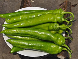 ����902-�⽷�N��-ɣ�r�N�I(y��)