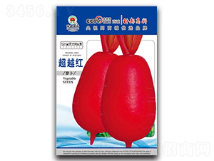 ��Խ�t-�t�}���N��-�߿ƷN�I(y��)