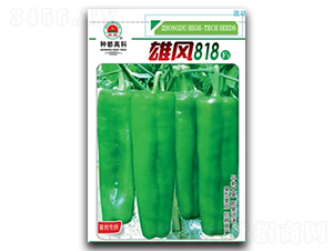 ���L(f��ng)818-�����N��-�߿ƷN�I(y��)