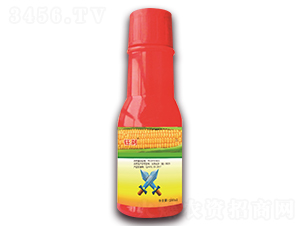 24%��������ݬȥ��ɷ�ɢ�͑Ҹ���-╄x-嫪{�r(n��ng)�I(y��)