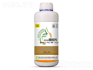 1000ml�������Ǵ��}-ʥ�ϝ�(r��n)