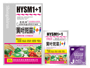 黃葉死苗1+1-圣氏潤