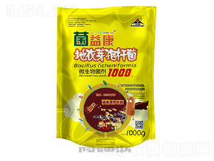 ����ѿ�ߗU��-���濵-���o(j��)��ķ˹