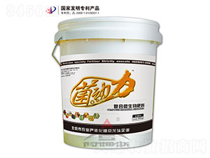 ������-���o(j��)��ķ˹