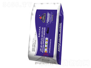 ��(f��)��΢�������-�،�����Ԫ-��ķ˹