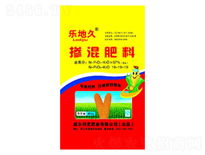 �������19-19-19-���ؾ�-��������