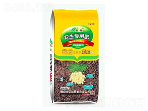 �������ÿ�ጓ������-������-���|�_(d��)�ʘI(y��)