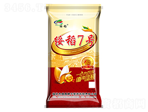 ����7̖-ˮ���N��-ʢ���N��