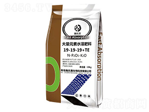 大量元素水溶肥料19-19-19+TE-施樂美