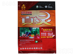 �߻��ԏV�V�_ʩ��-�A���r(n��ng)��