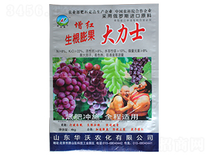 �����������ʿ-�A���r(n��ng)��