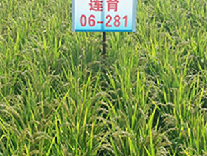 ɏ��06-281-ˮ���N��-ɏ�R�r(n��ng)�I(y��)